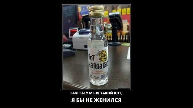 пошлые, смешные, лучшее демотиваторы и мотиваторы - TOP & BEST funny # 14 смотреть онлайн
