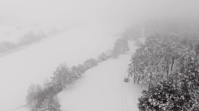 Зимняя красота. WINTER BEAUTY