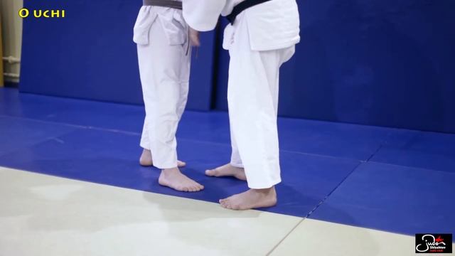 ShlyahtovTV | УРОК 1 | Техника O Uchi Gari и O Uchi Gake смотреть онлайн