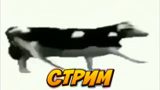 СТРИМ! ► Undertale Yellow Прохождение На Русском - Часть 1 смотреть онлайн