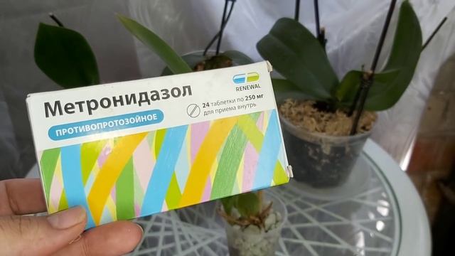 Эти таблетки спасут вашу ОРХИДЕЮ от МУСОРКИ и вы забудете о БОЛЕЗНЯХ у ОРХИДЕЙ смотреть онлайн