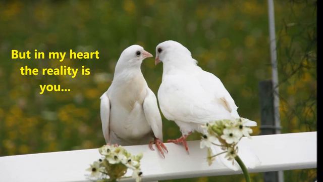 Your Love Arnel Pineda Lyrics смотреть онлайн
