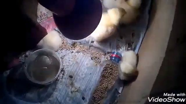 Жизнь в Сибири ! Холода и рукоделия ! Будем плести коврики !Пополнение в хозяйстве!????!!! смотреть онлайн