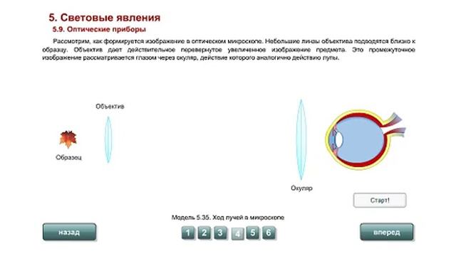 8 кл. Оптические приборы смотреть онлайн
