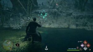 Все испытания Мерлина в регионе южное болото у моря в Hogwarts Legacy