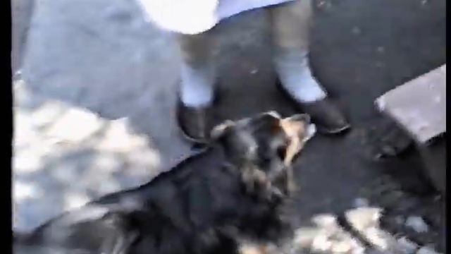 Kiev 1987 1989 2 НА ДАЧЕ смотреть онлайн