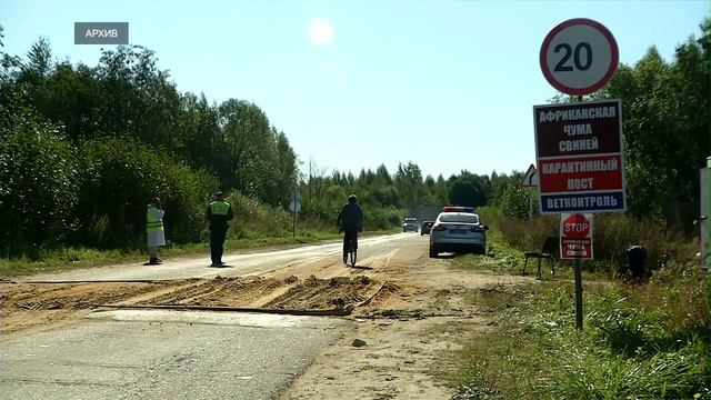 В Тверскую область вернулась африканская свиная чума смотреть онлайн