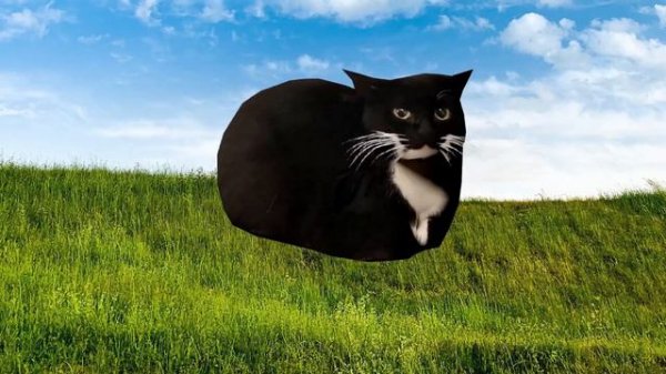 Maxwell The Cat Theme Phonk Remix 1 hour