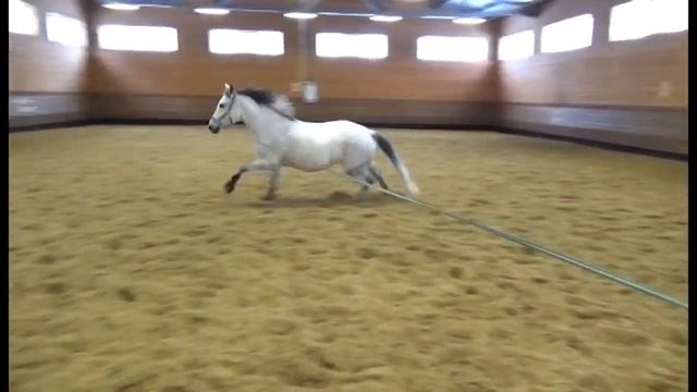 Лето! Отдых! Берхино! смотреть онлайн