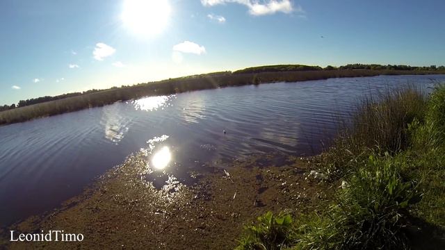 ТАРАРИРА – Южноамериканская ЩУКА смотреть онлайн