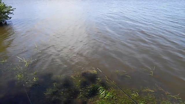 Рыбалка на реке Меша. смотреть онлайн