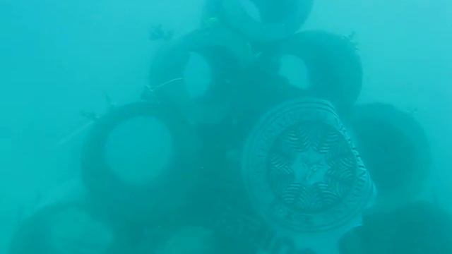 Artificial Reef video Colletion смотреть онлайн