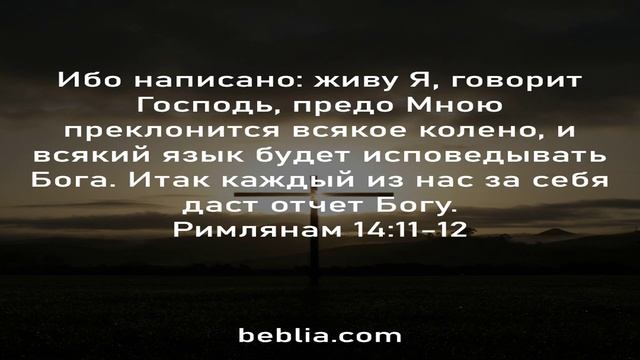 Римлянам 14:11-12 - Священный Библейский Стихи #Библия #Бог #Иисус #церковь [SD] смотреть онлайн