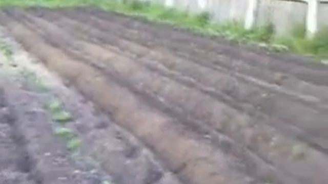 мотоблок зубр 105 №2.AVI смотреть онлайн