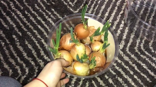 НИКОГДА НЕ ВЫБРАСЫВАЙТЕ КОРОБКУ ОТ ТОРТА. ОНА МОЖЕТ ВАМ ПРИГОДИТСЯ смотреть онлайн