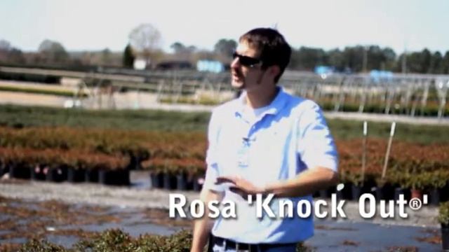 Lancaster Farms: Week 14: Inventory Report смотреть онлайн