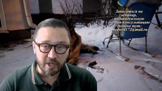 ВЫДЕРЖКА собак смотреть онлайн
