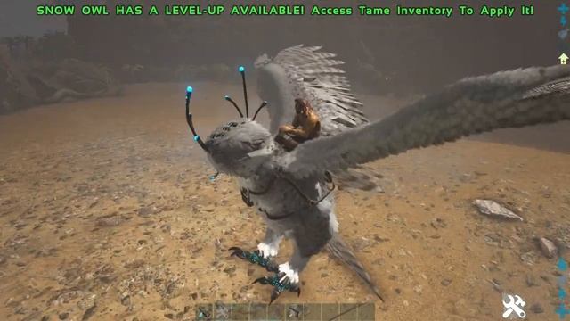 Snow Owl V.S Griffin! Which is BETTER? - ARK смотреть онлайн