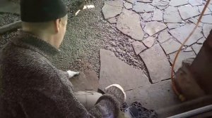 Дорожки из природного камня своими руками