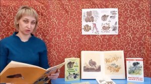 Сказочная карусель "Путешественники" Е. Чарушин