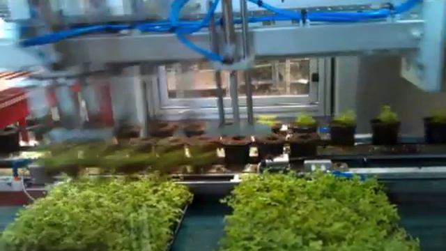Da Ros - Transplanter - TP MT - Double rows of pots смотреть онлайн
