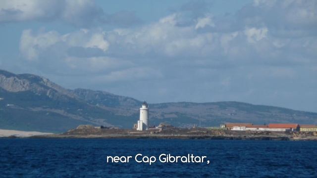 The Strait of Gibraltar смотреть онлайн