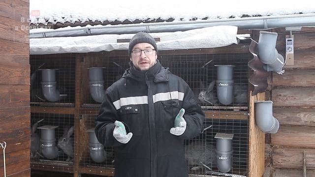 Анонс новой и самой лучшей уличной клетки для кроликов!