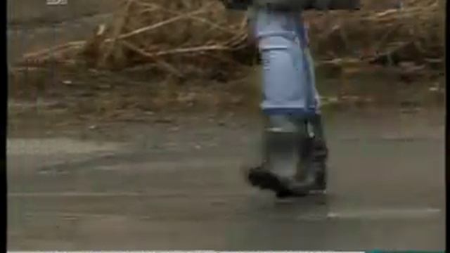 В Челябинске пропала школьница смотреть онлайн