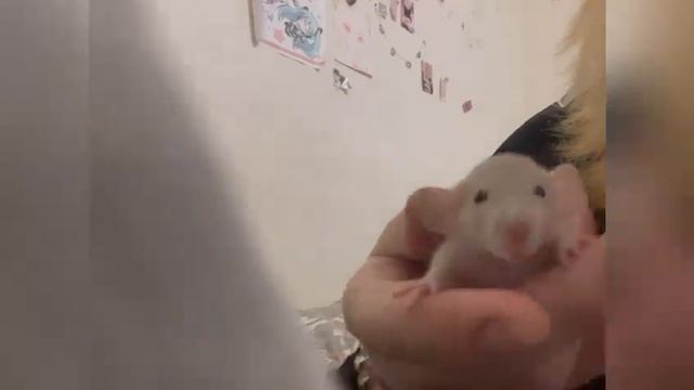 13 февраля 2024 г. смотреть онлайн