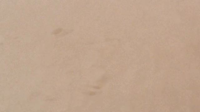 ИСПАНИЯ: Упала шляпа... в пустыне... на острове Фуэртевентура... Канары Fuerteventura смотреть онлайн