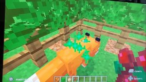 Как приручить ЛИСУ в MINECRAFT!