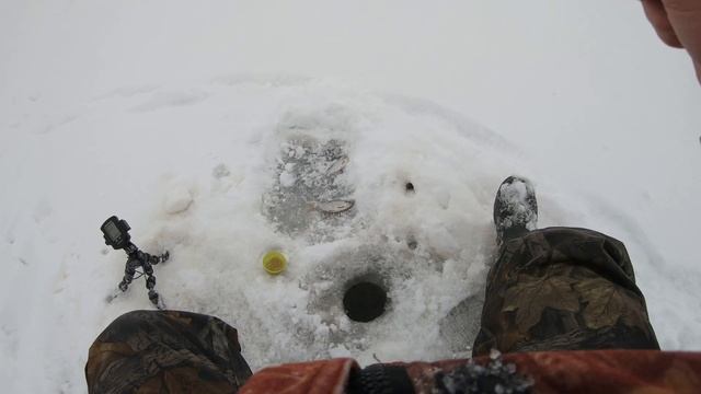 Зимняя рыбалка озеро Ильмень 30 01 2021. Переезд тороса на мотобуксировщике Паксус. смотреть онлайн