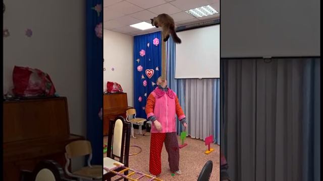 Вятский театр кошек в детском саду 2024.mp4