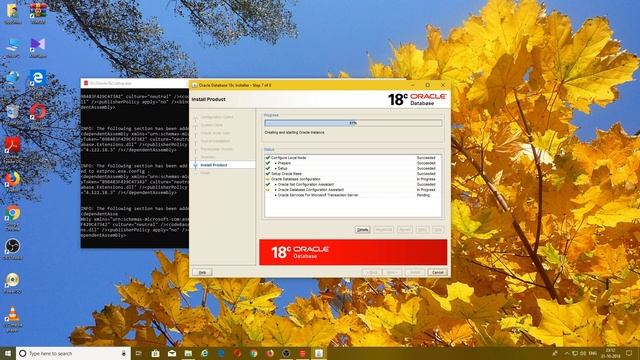 How to install Oracle 18c on Windows 10 and Unlock HR Schema(Hindi) смотреть онлайн