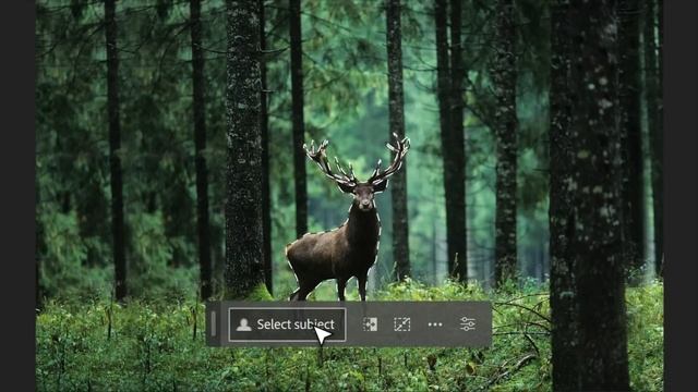 AI News: ChatGPT Mobile App, AI in Photoshop, and Windows Copilot #chatgpt #photoshop #windows11 смотреть онлайн