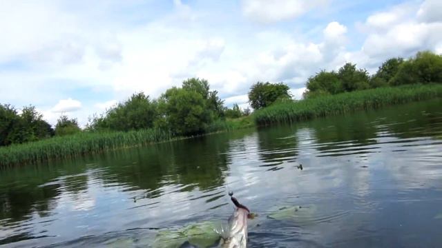 Окунь, судак на джиг смотреть онлайн