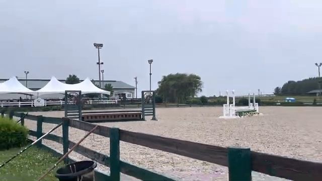 *For Sale* ‘Con Brio’ 2015 Gelding смотреть онлайн