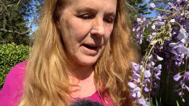 Quantum mind, timeline shifts, and karma смотреть онлайн