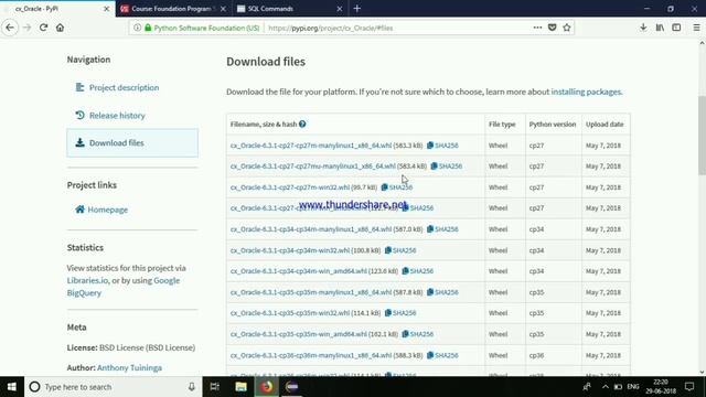 Python Database Integration смотреть онлайн