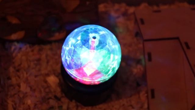 РЕАКЦИЯ ХОМЯЧКОВ РОБОРОВСКОГО НА СВЕТЯЩИЙСЯ ДИСКО СВЕТИЛЬНИК смотреть онлайн