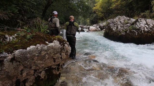INCREDIBLE Soca Valley Marble Trout Fly Fishing Slovenia! смотреть онлайн
