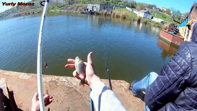 Рыбалка на карася. Ловля карася на донки смотреть онлайн