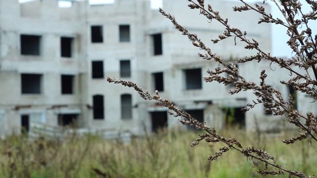 Дольщики ждут своих квартир 8 лет смотреть онлайн