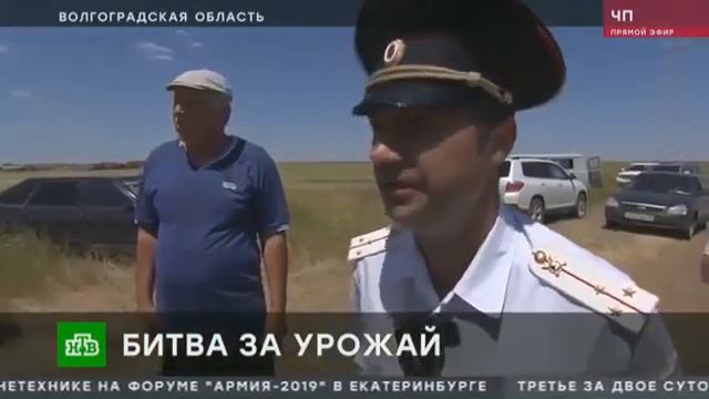 ШОК!!!😱 ФЕРМЕРЫ С ВИЛАМИ И ЛОПАТАМИ ЗАЩИЩАЮТ СВОЙ УРОЖАЙ!!!!! смотреть онлайн