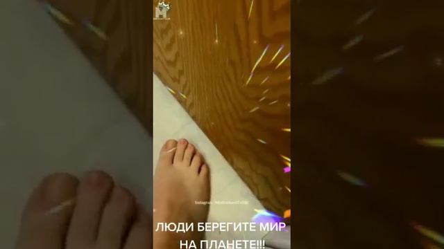 Живу,потому что ты рядом..! смотреть онлайн