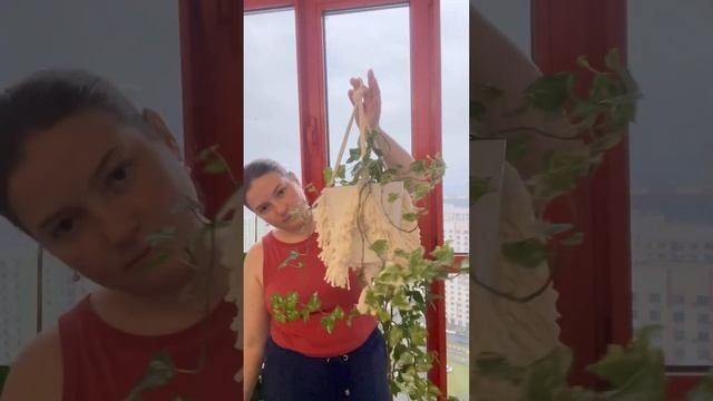 Простой макраме-подвес для цветов: 11 ноября подробный видеоурок смотрите на канале #макраме смотреть онлайн
