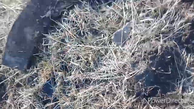 С 8 мартом милые дамы !Большая праздничная нержавейка смотреть онлайн