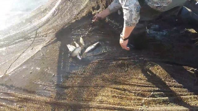 Неводок смотреть онлайн