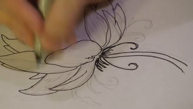 How to Draw a Lotus Blossom смотреть онлайн