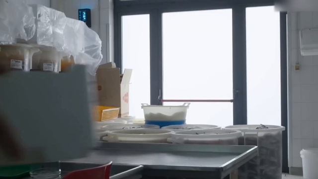 Морские приключения на борту